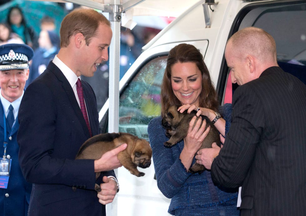 prince-william-duke-of-cambridge-and-catherine-duchess-of-news-photo-484996467-1547759388.jpg?crop=1xw:1xh;center,top&resize=980:*