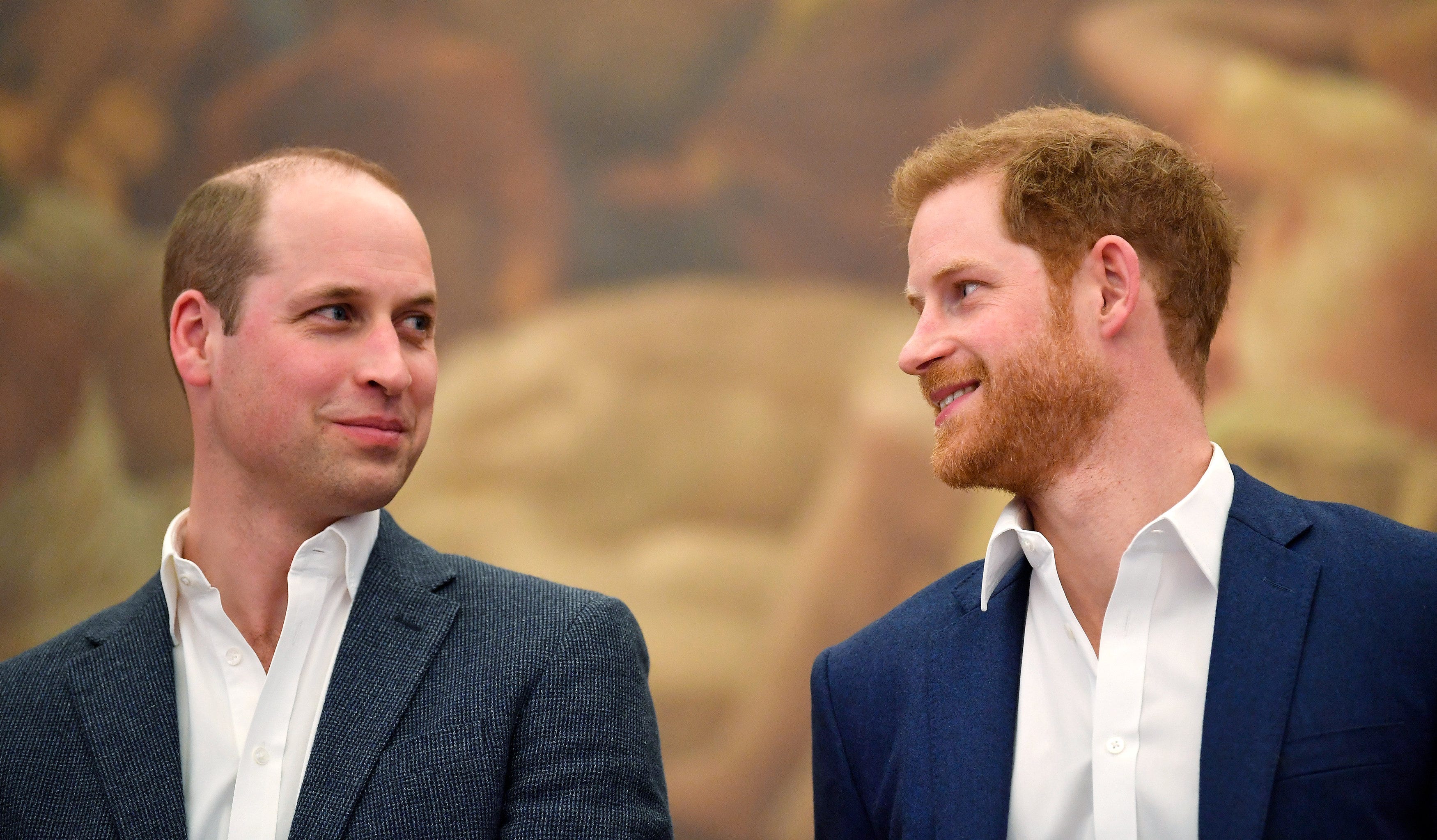 Prince Harry and Prince William Are Back on 