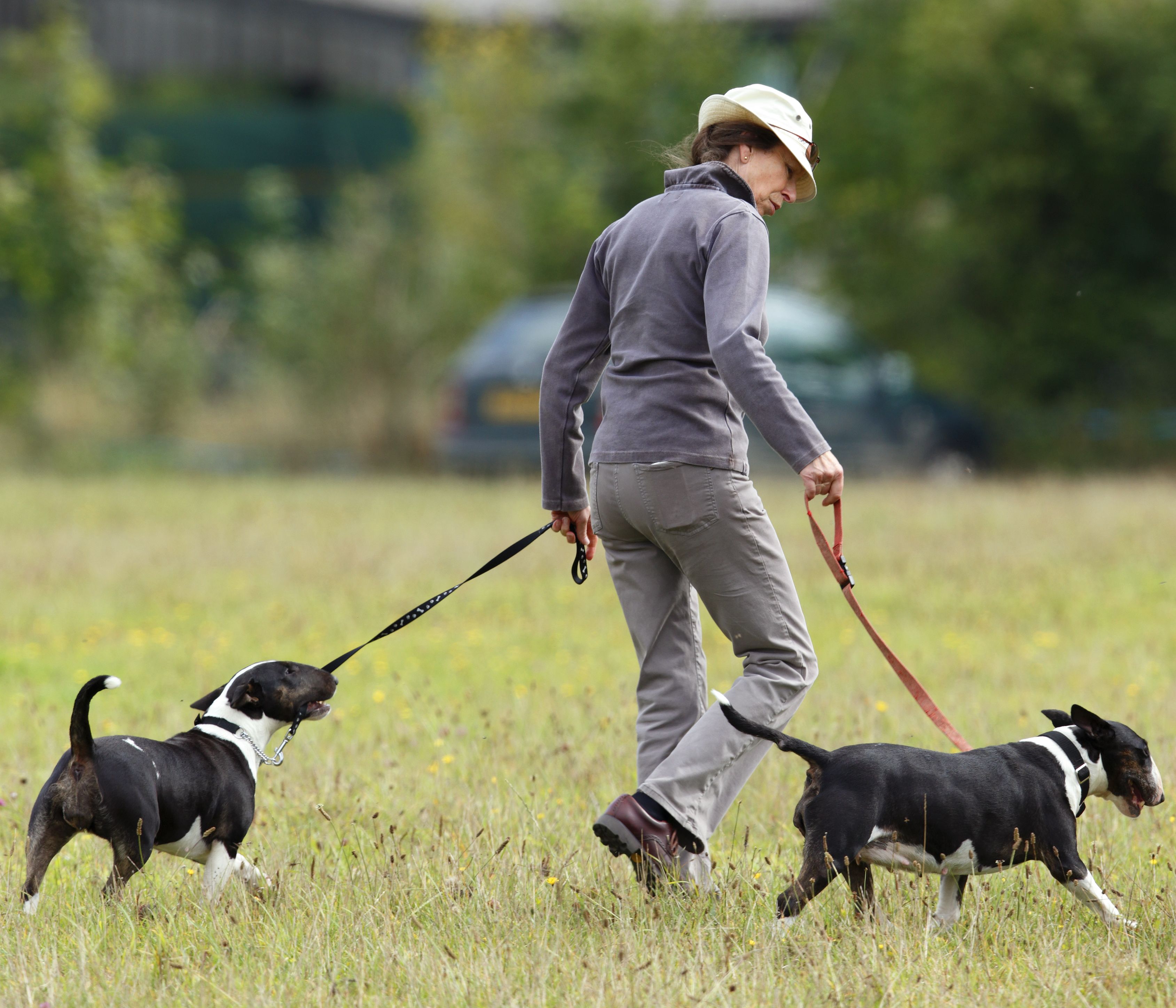 動物好きな英国ロイヤルたちは どんなペットを飼っている
