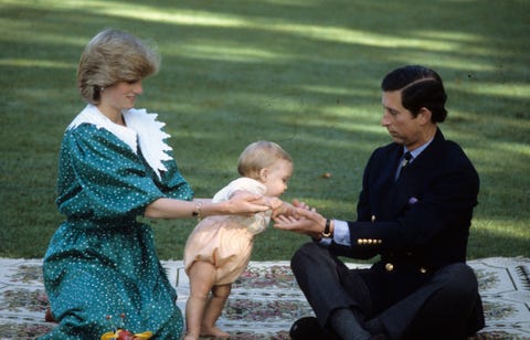 prince charles, princess diana and prince william of wales visit to australia and new zealand 1983