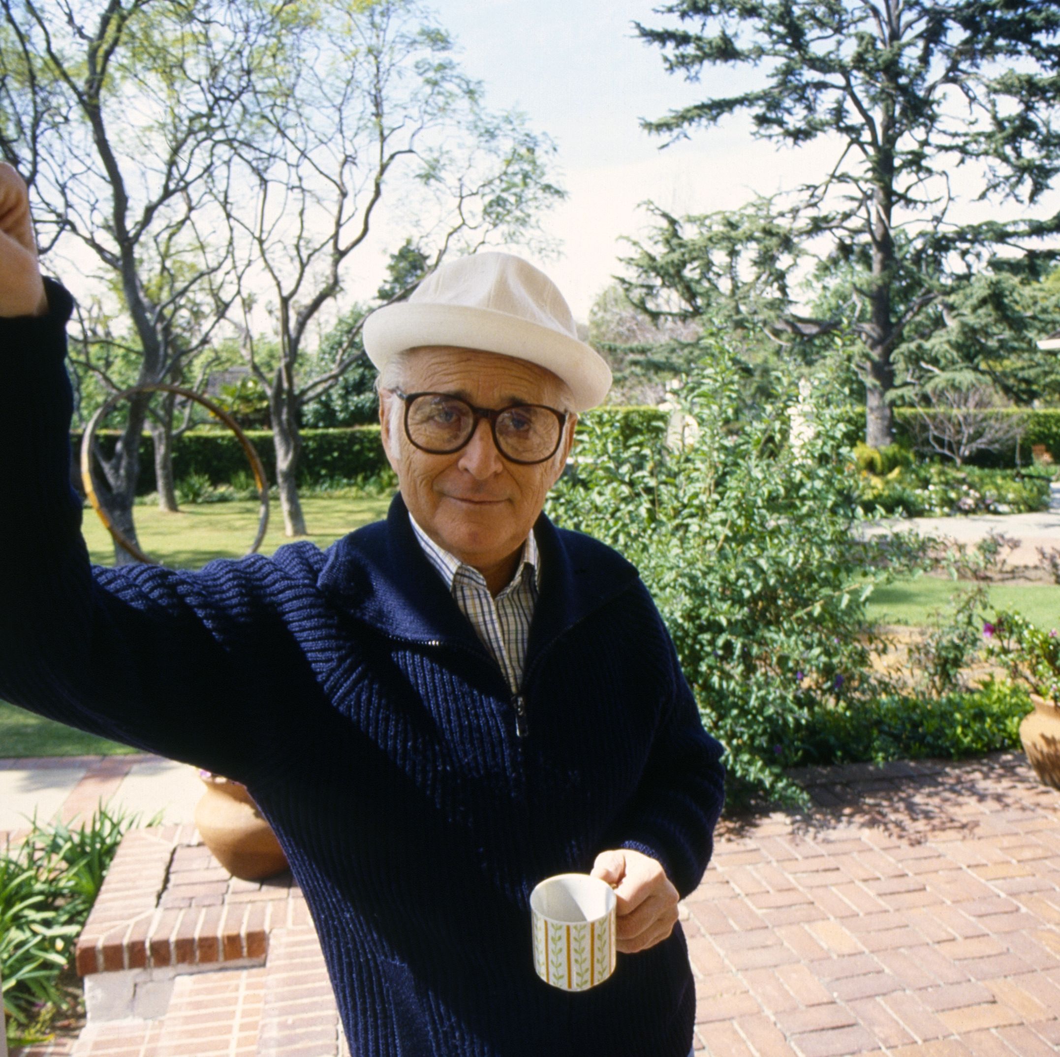 The World According to Norman Lear
