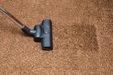 Professional vacuum cleaner turbo brush frees the carpet from dust.