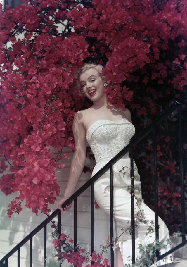 circa 1950  actress marilyn monroe poses for a portrait on a stair case among blooming pink flowers in circa 1950 photo by michael ochs archivesgetty images