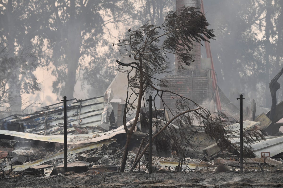 How to Help CA Fires - Here's How to Help Victims of the California ...