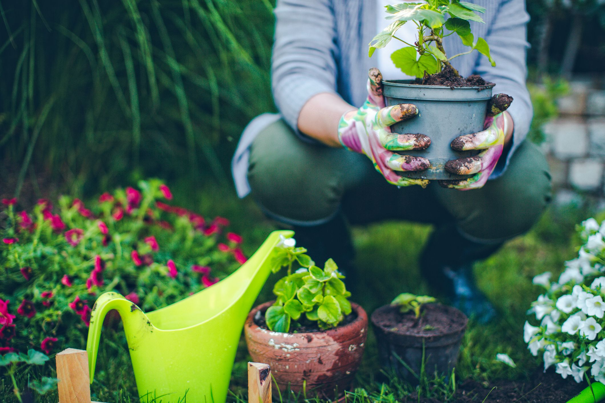 How Can I Change the Outlook of My Garden?