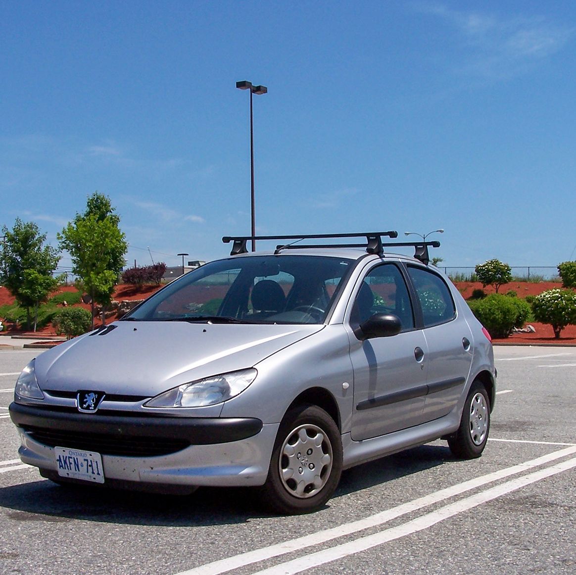 Hvad Gammel mand kontanter Street-Spotted: Peugeot 206
