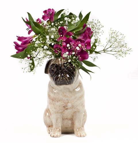 Pug Flower Vase Large