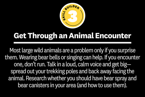 get through an animal encounter