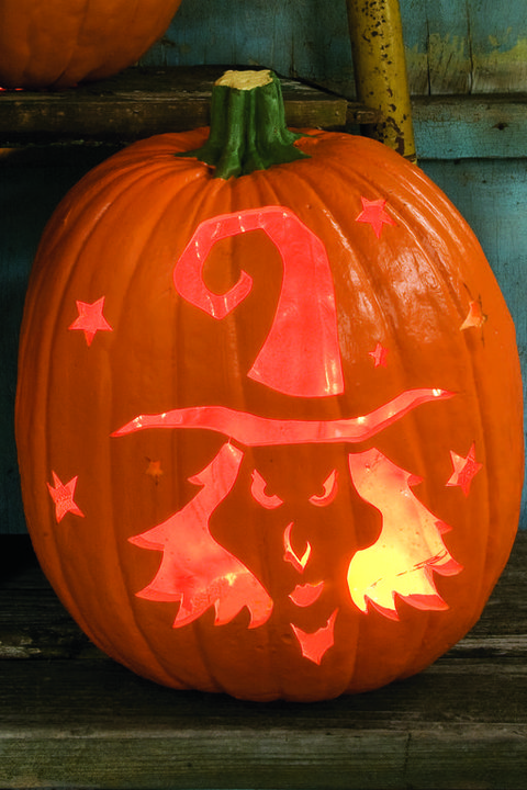pumpkin carving ideas a little black magic pumpkin