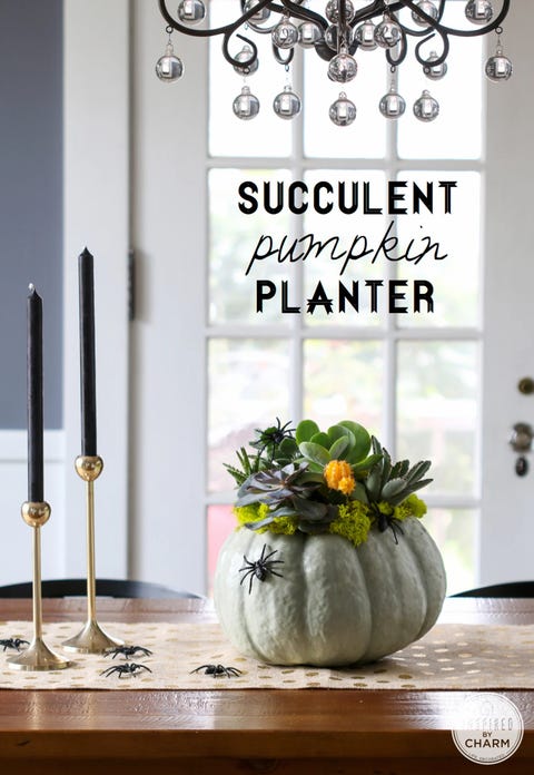 pumpkin carving ideas pumpkin planter