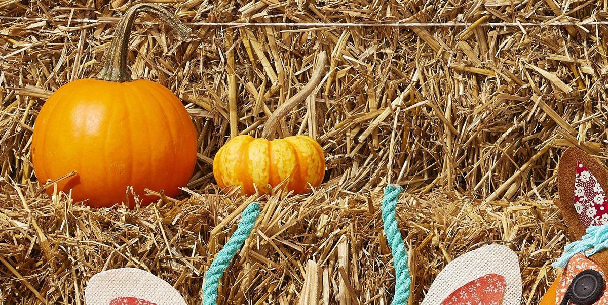 40 Best Pumpkin Crafts - Easy Pumpkin Craft Ideas for Fall