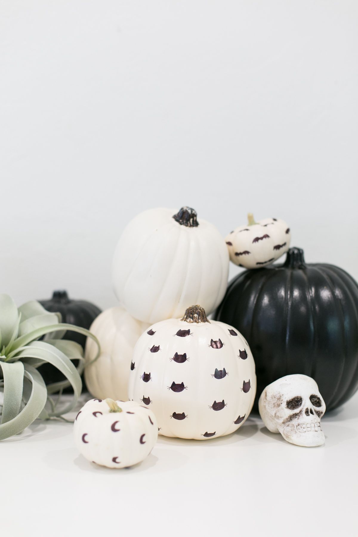 decorated mini pumpkin ideas