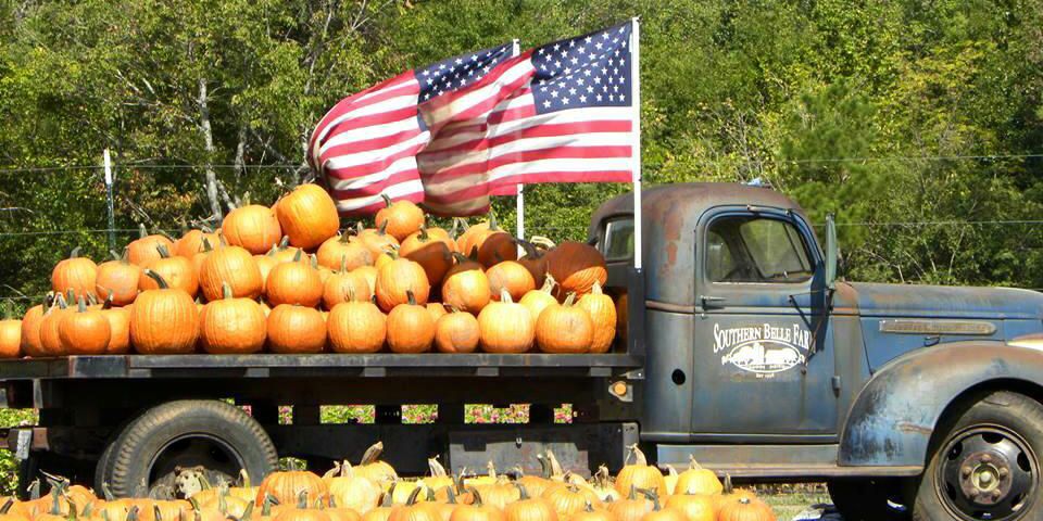 25 Pumpkin Farms Near Me - The Best Pumpkin Patches In America