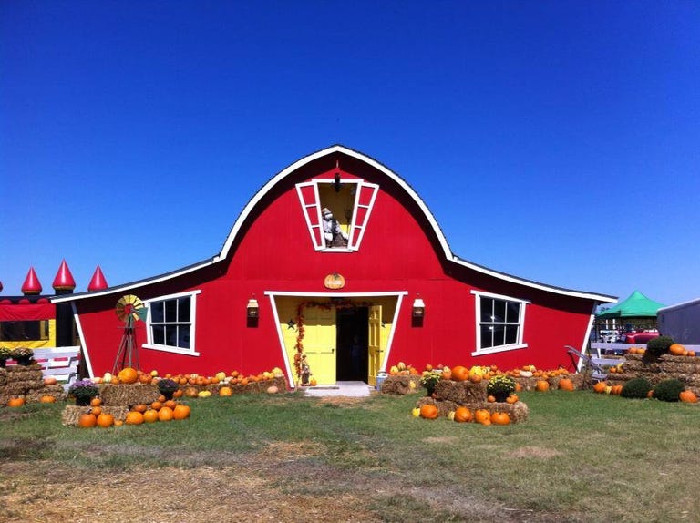 25 Pumpkin Farms Near Me The Best Pumpkin Patches in America