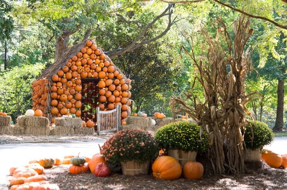 25 Pumpkin Farms Near Me The Best Pumpkin Patches In America   Pumpkin Farms Near Me Cheekwood Estate 1528987131 