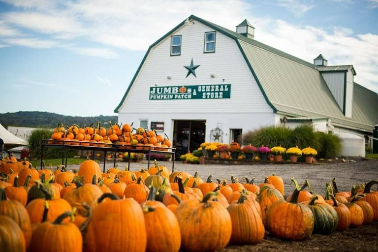 25 Pumpkin Farms Near Me The Best Pumpkin Patches in America