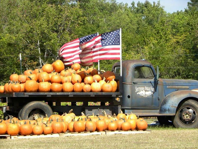25 Pumpkin Farms Near Me - The Best Pumpkin Patches in America
