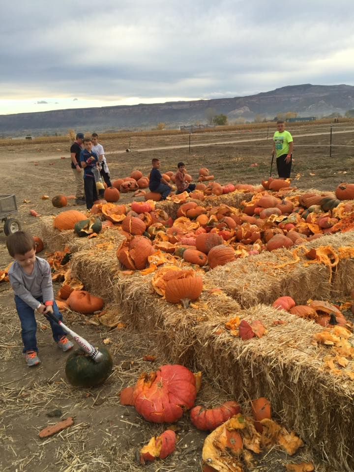 pumpkin patch near me with rides