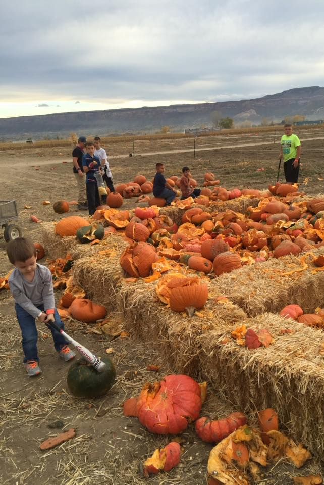 25 Pumpkin Farms Near Me - The Best Pumpkin Patches in America