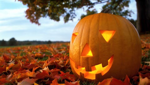 halloween puns