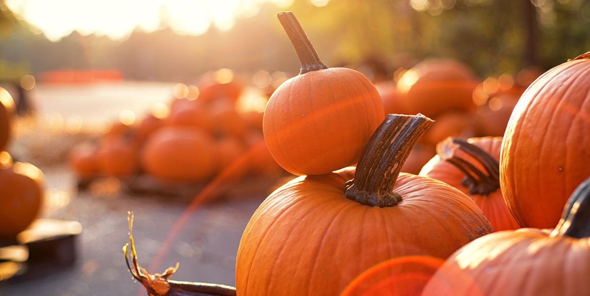 45 Best Pumpkin Quotes - The Pioneer Woman