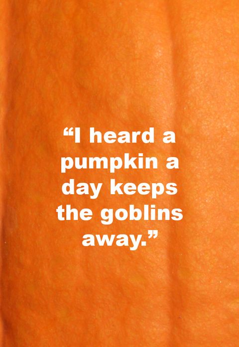 pumpkin quote