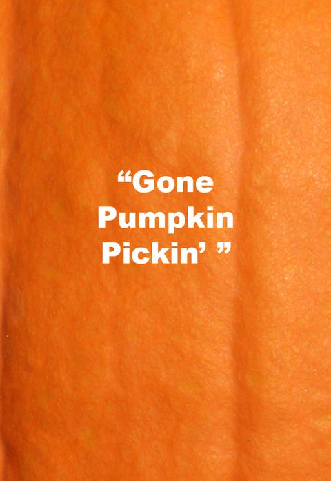 pumpkin quote