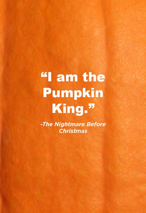 55 Best Pumpkin Quotes and Puns - Funny Sayings About Pumpkins for ...