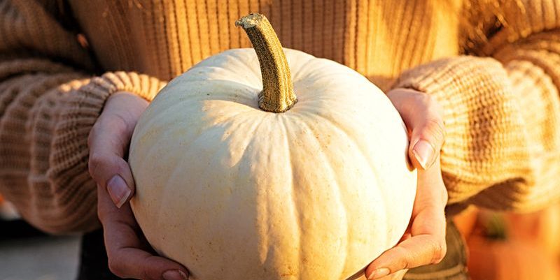 55 Best Pumpkin Quotes and Puns to Share on Instagram