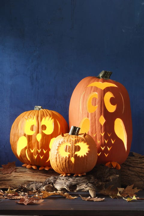 15 Printable Pumpkin Stencils Free Pumpkin Carving Patterns