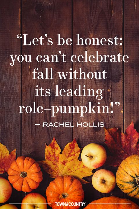 14 Pumpkin Patch Quotes for Fall - Best Pumpkin Quotes to Celebrate Autumn