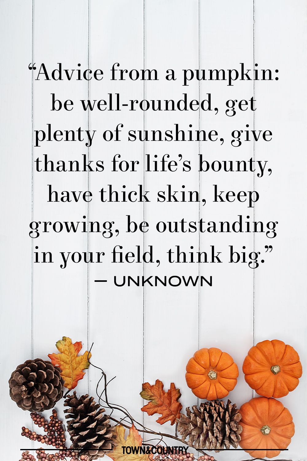 baby pumpkin patch quotes