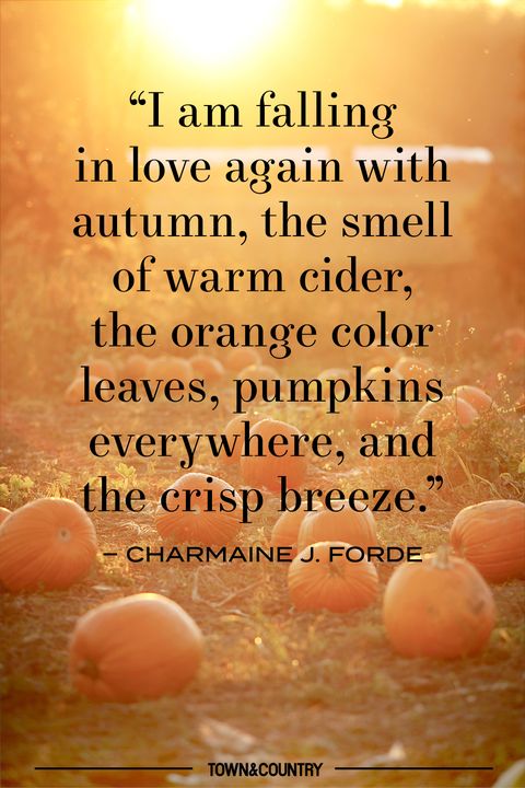 pumpkin patch quote