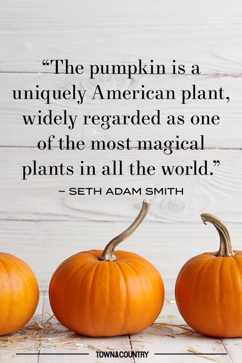 14 Pumpkin Patch Quotes for Fall - Best Pumpkin Quotes to Celebrate Autumn