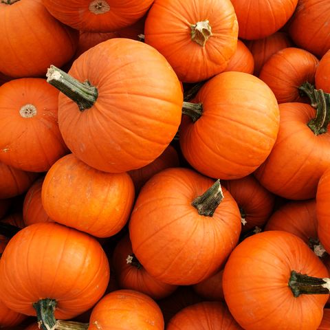 Image result for pumpkins