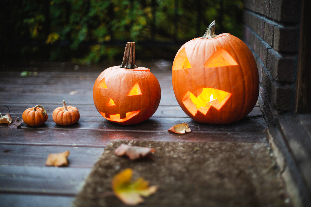 How to Keep Bugs Away From Your Carved Pumpkin for Halloween