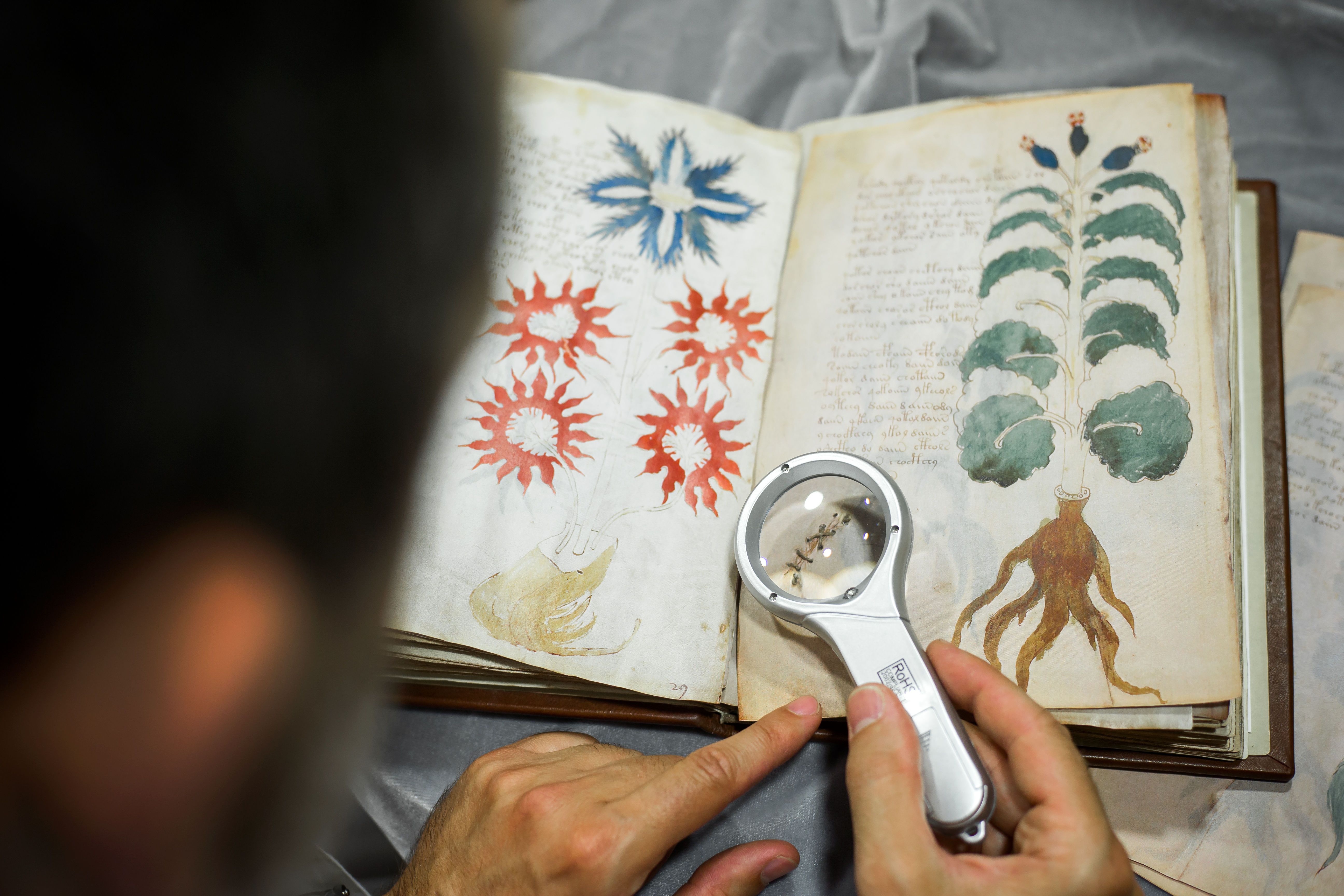 high resolution voynich manuscript