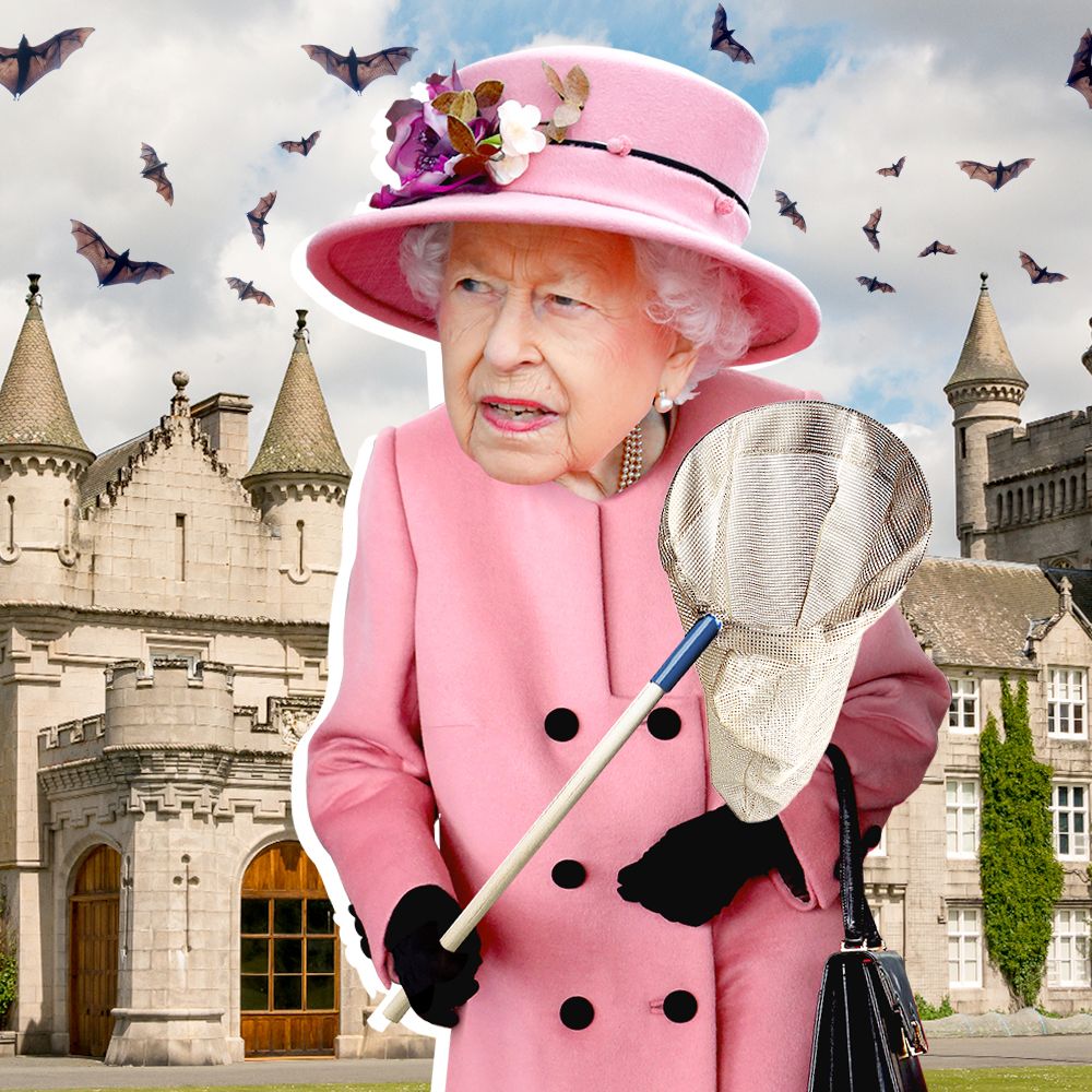 Queen Elizabeth Has Been Known to Catch Bats in a Butterfly Net at Balmoral Castle
