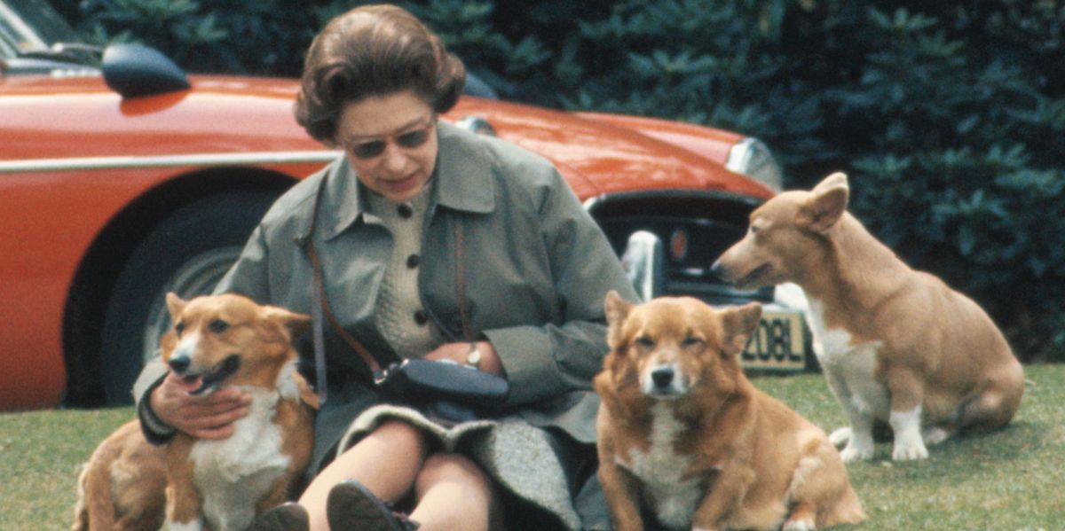 Queen Elizabeth Helped War Doctor David Nott Feel Better By Having Him Pet Her Dogs,Ikea Kitchen Corner Pantry Cabinet