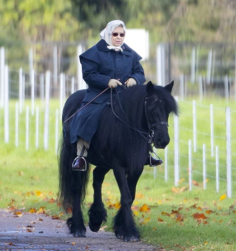 Queen Elizabeth Rode Horseback At 93 At Windsor Castle