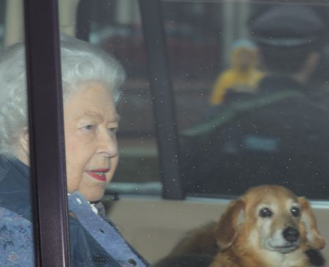Queen elizabeth leaves London with dog