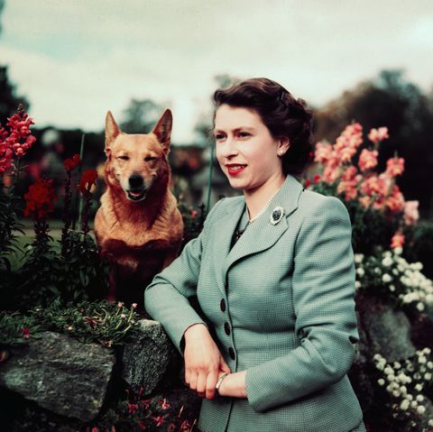 queen elizabeth in garden with dog