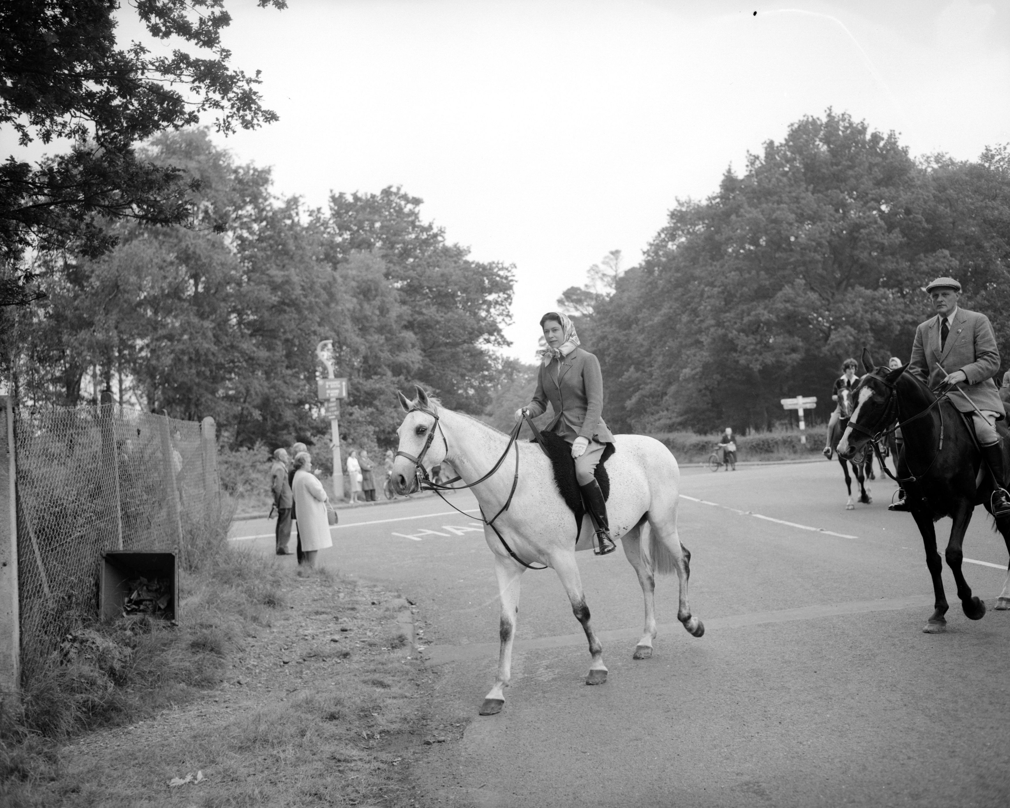 horse riding birthday party kent