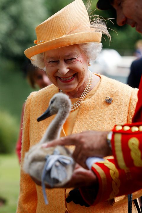 Queen Elizabeth II Attends Annual Swan Upping Census