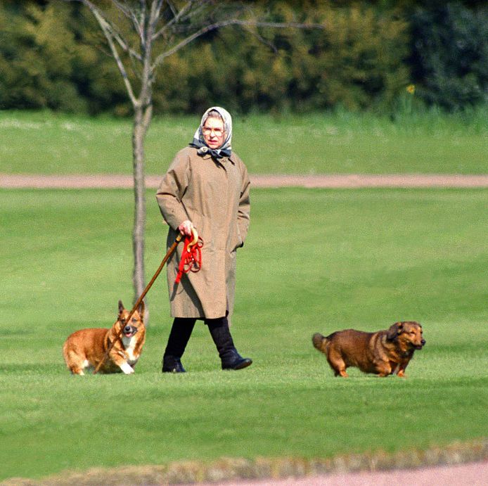 Um, Queen Elizabeth Released a Fragrance for Dogs with a Very Specific Smell