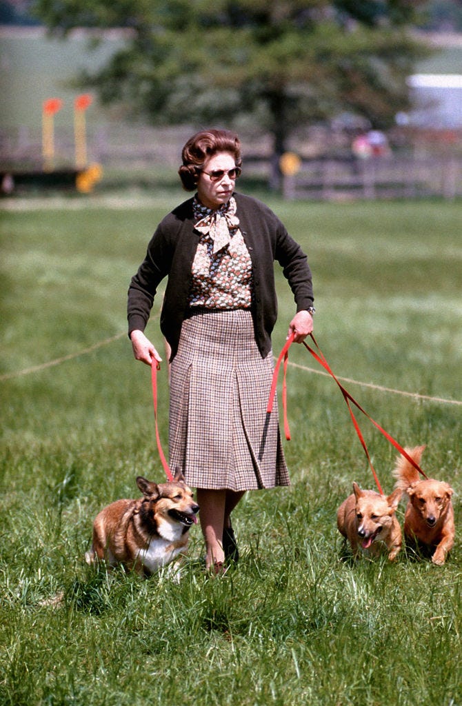 how many dogs does queen elizabeth own