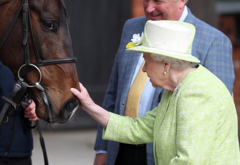 Queen Elizabeth II visits Somerset feeds horse