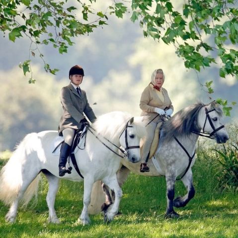 the queen with horses