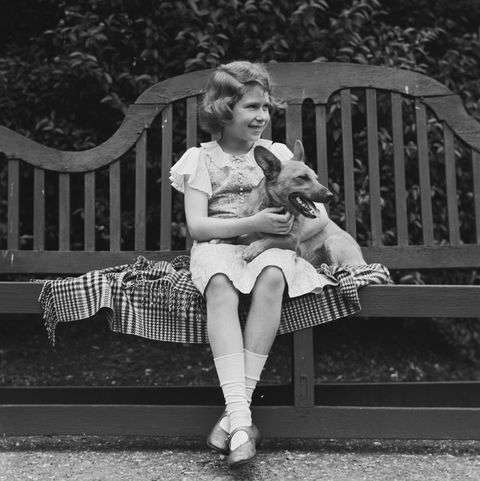 the royal princess elizabeth queen elizabeth iiwith a pembroke welsh corgi dog sitting on a bench at her home at 145 piccadilly, london, uk, july 1936 photo by lisa sheridanstudio lisahulton archivegetty images