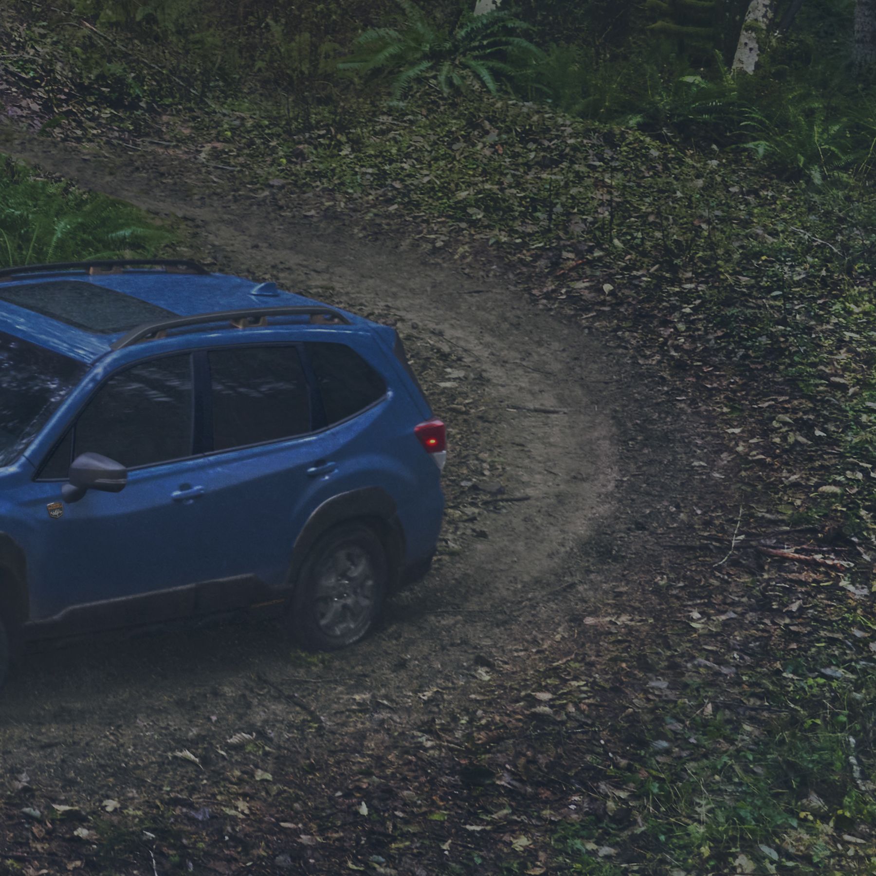 Listen to Our Take on the 2022 Subaru Forester Wilderness